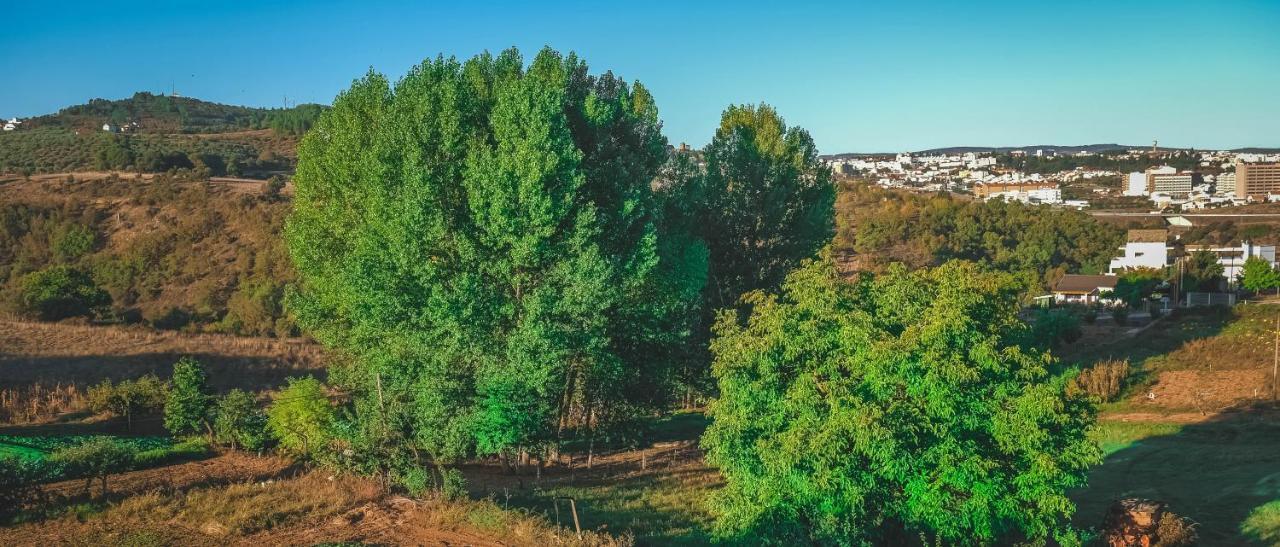 Alojamento Local Do Arado Bragança Exteriör bild